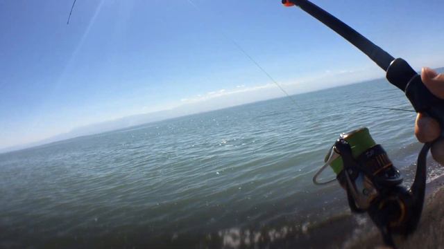 СУДАК на RELAX Twister, на водх. Капшагай, приманки на судака, рыбалка возле Алматы смотреть онлайн