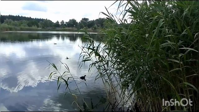 Пришибское озеро Сумы ?? смотреть онлайн