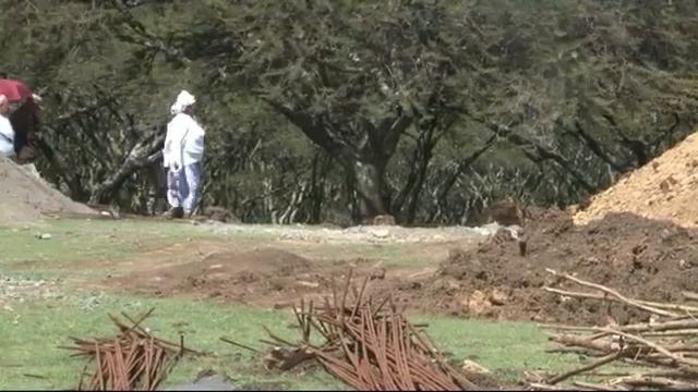 universty смотреть онлайн