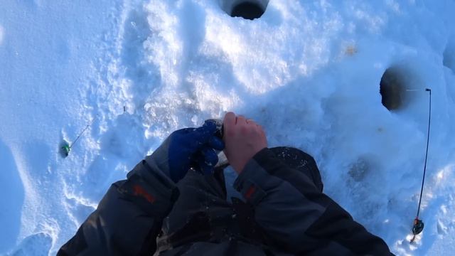 Мужики смотрели как я ловлю рыбу. Маленький секрет. Форель со льда смотреть онлайн