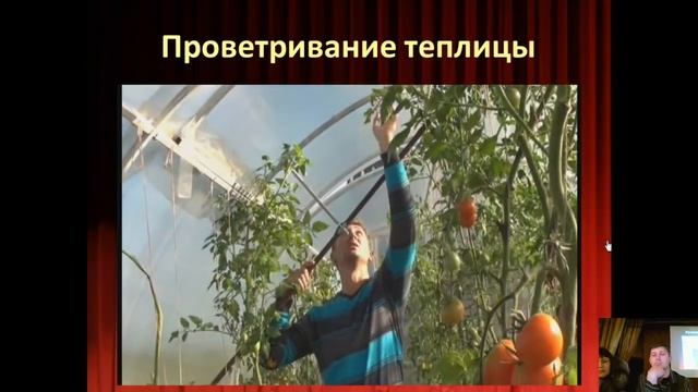 Теплицы, капельный полив смотреть онлайн
