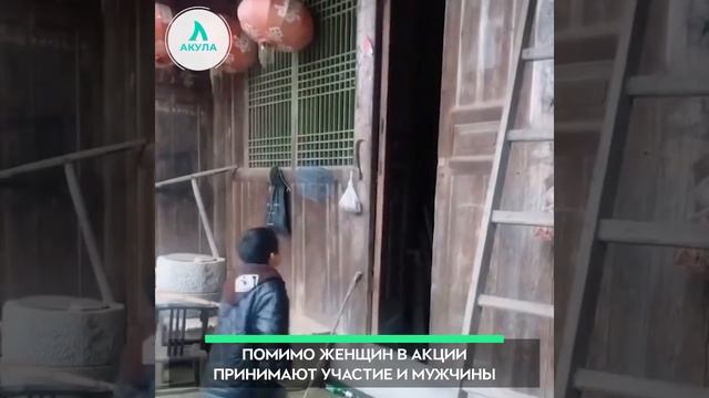 4 поколения мам/пап | АКУЛА смотреть онлайн