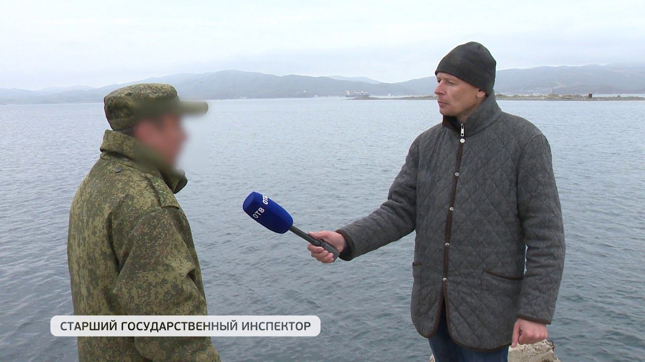 Тема недели. Трепанг.