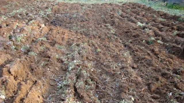 JOHN DEERE 110 ROUND FENDER PULLING A BRINLY HARDY DISC HARROW смотреть онлайн