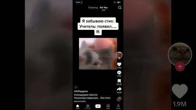TikTok 46 смотреть онлайн