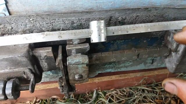 Взяток с гречки. Суточный привес 5,7 кг. смотреть онлайн