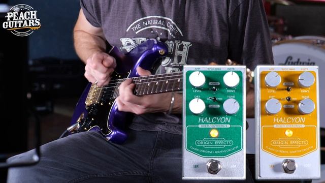 The GOLD Standard In Klon Design! | Origin Halcyon Gold Overdrive! смотреть онлайн