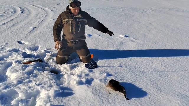 Рыбалка с Саньком на кромке льда. ЩУКА на балансир, налим, окунь. ЧАСТЬ 1. смотреть онлайн