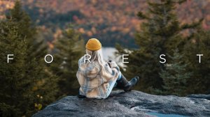 Музыка для Работы за компьютером,из дома,фриланс |Chillstep music for Work #дляработы,#фоноваямузыка