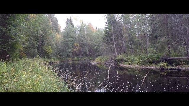 Люди воды смотреть онлайн