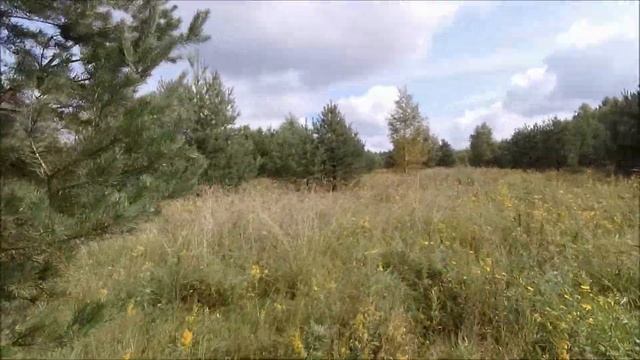 Осмотр участков, перед покупкой. смотреть онлайн
