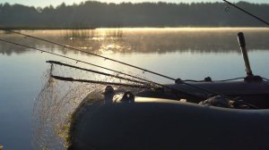 Ловля щуки: какой спиннинг выбрать для рыбалки на хищника летом?