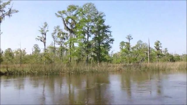 Pascagoula River, Mississippi смотреть онлайн