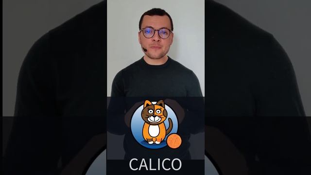 AKS Best Practices: Network Policy смотреть онлайн