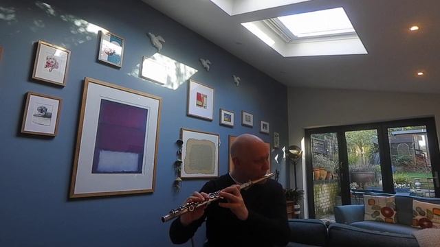 Marcello 2nd movement of concerto for oboe in D minor 'Adagio' смотреть онлайн