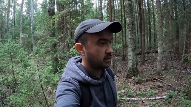 ДЛЯ УСПОКОЕНИЯ ДУШИ ВСЕМ К ПРОСМОТРУ! УДАЧНАЯ ТИХАЯ ОХОТА В НОВОМ ЛЕСУ | БЛАГОРОДНЫЕ ГРИБЫ 2022 смотреть онлайн