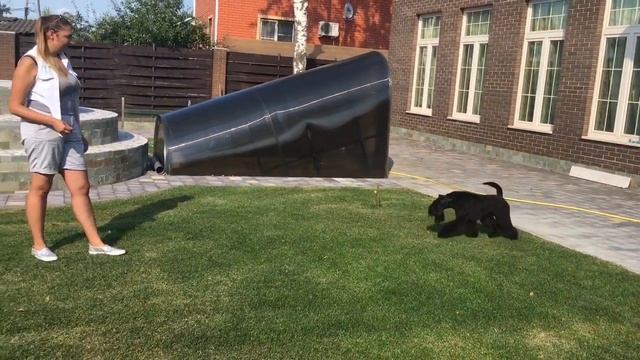 Прада У Наташи После Стрижки смотреть онлайн