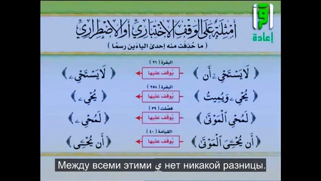 Айман Сувейд. 25. Остановка и начало: ПРАВИЛО ХАФСА 8 (две буквы Йа) (с субтитрами на русском) смотреть онлайн