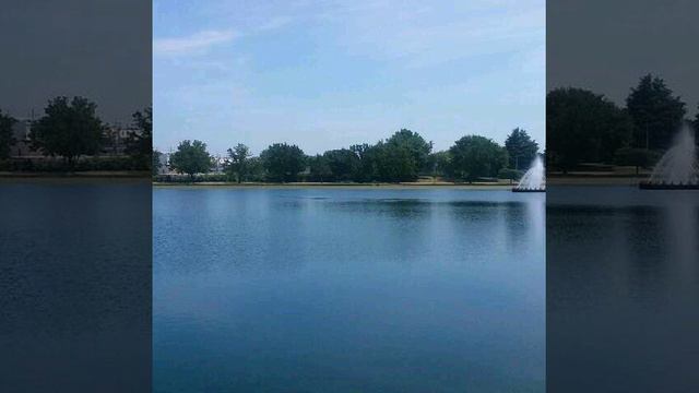 Carrie's Rendition of Louie's Armstrong "What a wonderful world" смотреть онлайн