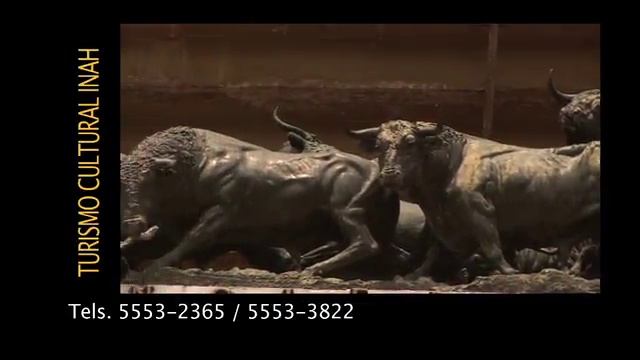 Plaza de Toros México / Turismo Cultural смотреть онлайн