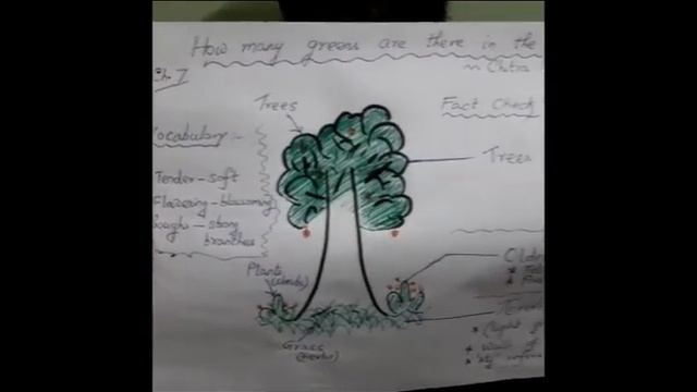 SEPTEMBER 14: GRADE IV: ENGLISH LITERATURE: CHAPTER 7 - HOW MANY GREENS ARE THERE IN THE PARK смотреть онлайн