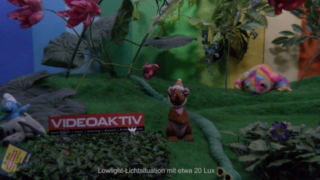 Testvideo: JVC GY-HM250 смотреть онлайн