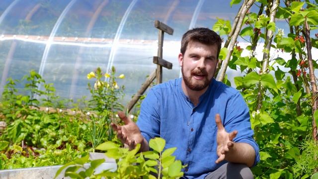 Невероятная экскурсия по пермакультурному огороду | Август Не копай доморощенное изобилие смотреть онлайн