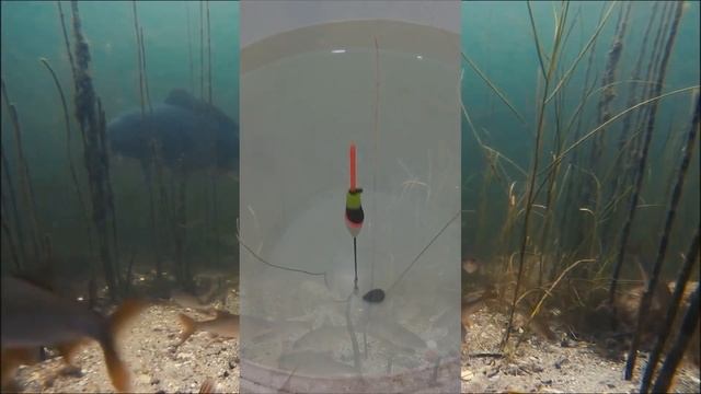 Поплавок с авторегулировкой глубины смотреть онлайн