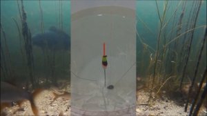 Поплавок с авторегулировкой глубины