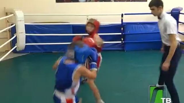 2017 11 08 Соревнования по боксу смотреть онлайн