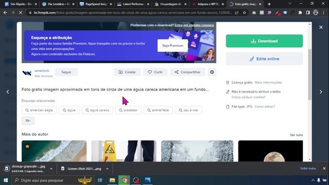 Como deixar seu site WordPress bem mais rápido (Passo a Passo) смотреть онлайн