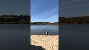 Арсеньево база-отдыха (парк-отель) Курская область. Отдых рыбалка в Курске 2019