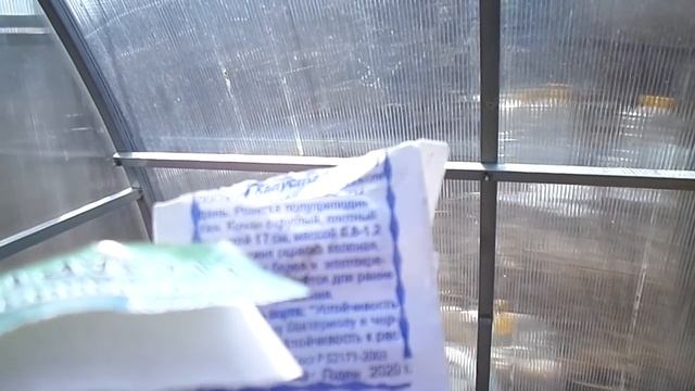 Посев ранней капусты и редиса в теплице смотреть онлайн