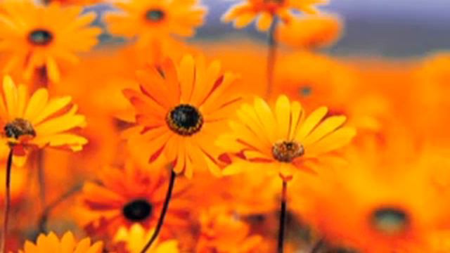 новая песня на казахском языке Демо версия с диктофона сырой вариант Жанат Кусаиновой смотреть онлайн