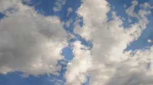 Валентин Гафт. Стихи.