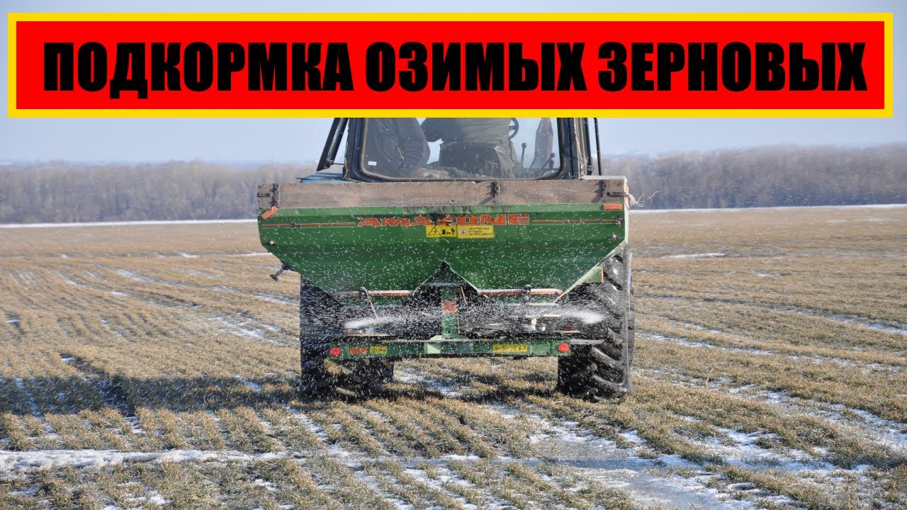 ВЕСЕННЯЯ ПОДКОРМКА ОЗИМЫХ ЗЕРНОВЫХ || ПШЕНИЦА ПОДКОРМКА смотреть онлайн