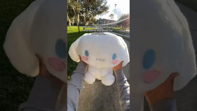 This is for the Cinnamoroll lovers ? #sanrio #hellokitty #cinnamonroll #anime #plush #kawaii смотреть онлайн