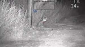 леший-2 охота на лис-!санитарная очистка природы от вредителей-!