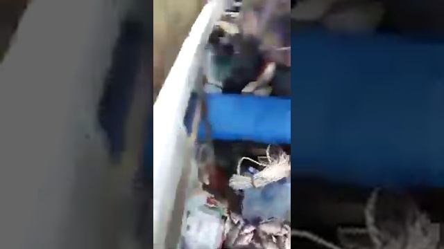 Из лимана Дончик на Ордынку смотреть онлайн