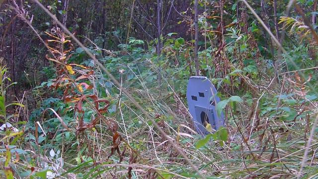 Вепрь 20501 против стальной плиты 15 мм смотреть онлайн