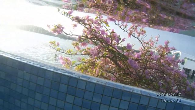 Lucas Boy - Lexis Hibiscus Port Dickson by JVC Adixxion GC-XA2BE Sport Camera смотреть онлайн