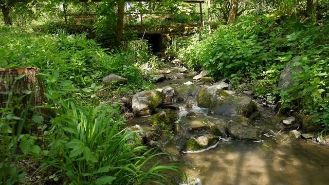 Рисование абстракций онлайн SymWave смотреть онлайн