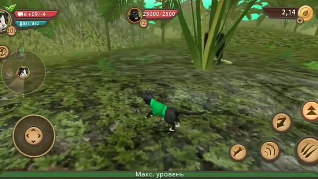 КРУТОЙ ЛАЙФХАК ДЛЯ ПРОКАЧКИ В cat sim online😺😺😺⭐⭐⭐⭐⭐/ sim top смотреть онлайн