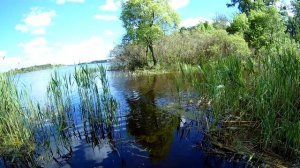 Ловля на поплавок  СЕКРЕТЫ ловли карася