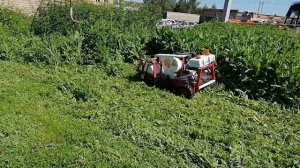 Мульчер на радиоуправлении. Испытание новых ножей.