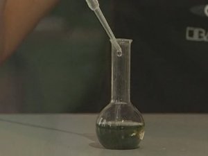 Химия. Опыты. Неорганика. Получение гидроксида железа (II) и его взаимодействие с кислотами