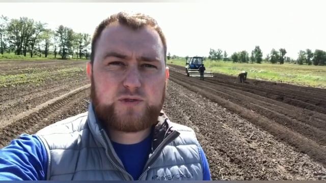 Пшеница, картофель, Чечевица, лен. Посевная 2020. Обработка Зенкор ультра! смотреть онлайн