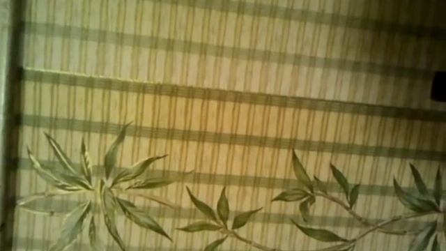 Съемка Луны с помощью монокуляра на телефон смотреть онлайн