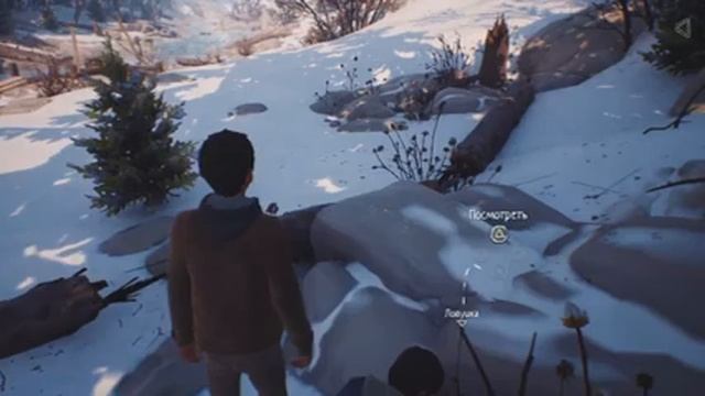 Прохождение Life is Strange 2. Эпизод 2: Правила. 1 Серия: Суперспособность Даниэля. смотреть онлайн