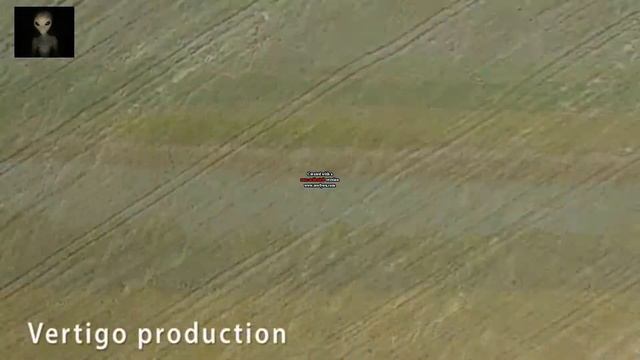 Круги на полях смотреть онлайн